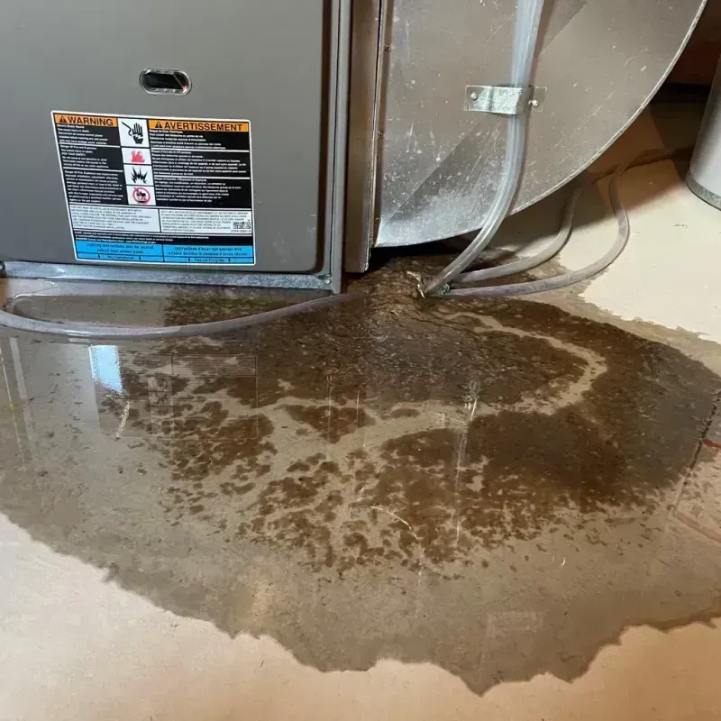 Appliance Leak Cleanup in Sheridan, OR